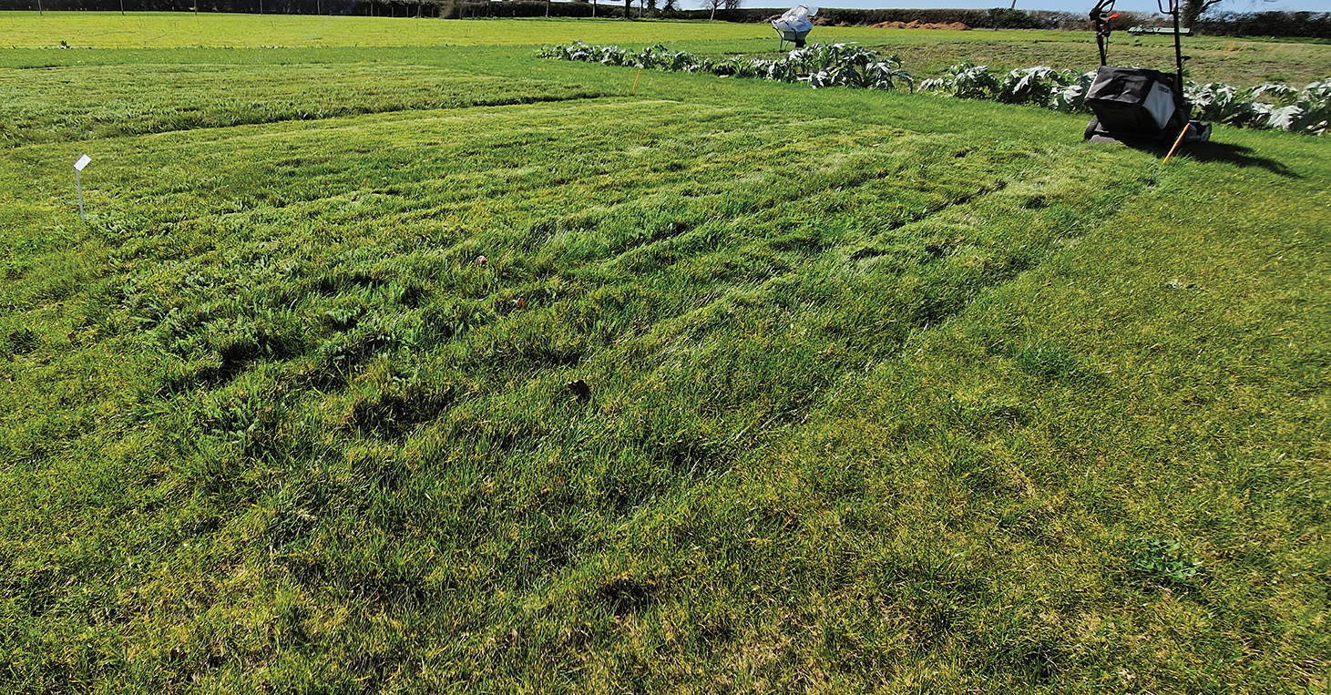 Heyday For Haymaking