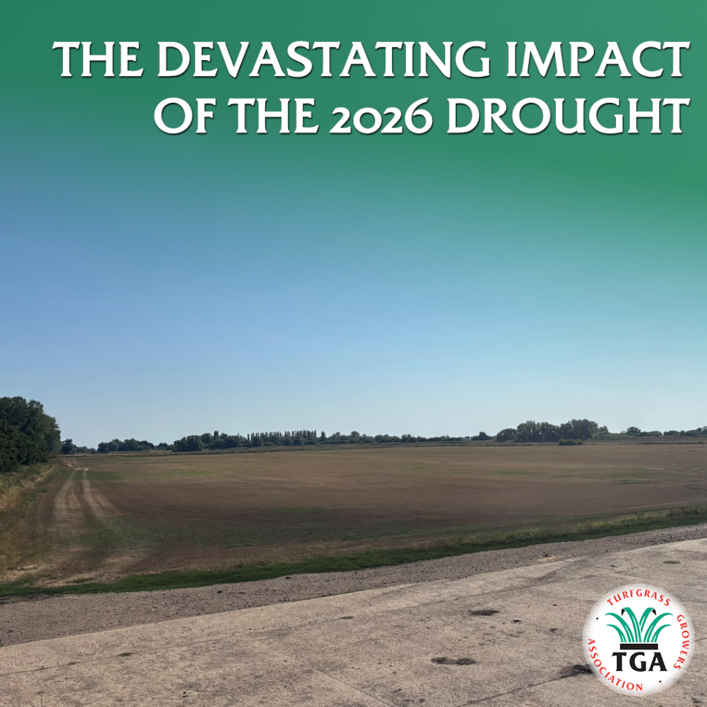 UK Turf Growers Highlight the Devastating Impact of the 2026 Drought