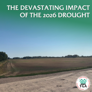 UK Turf Growers Highlight the Devastating Impact of the 2026 Drought