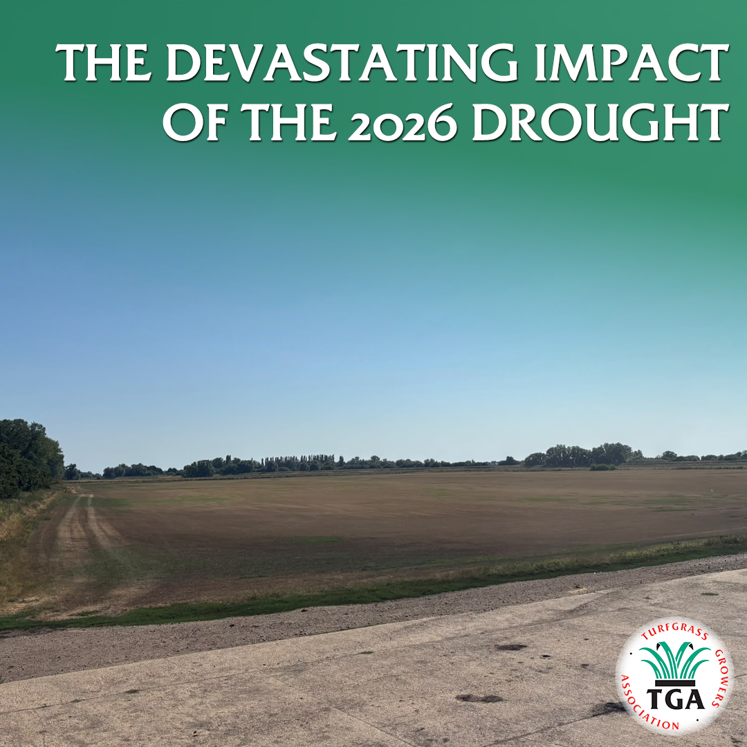 UK Turf Growers Highlight the Devastating Impact of the 2026 Drought