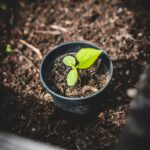 HTA: Autumn Budget Must Recognise The Businesses Behind Green Growth