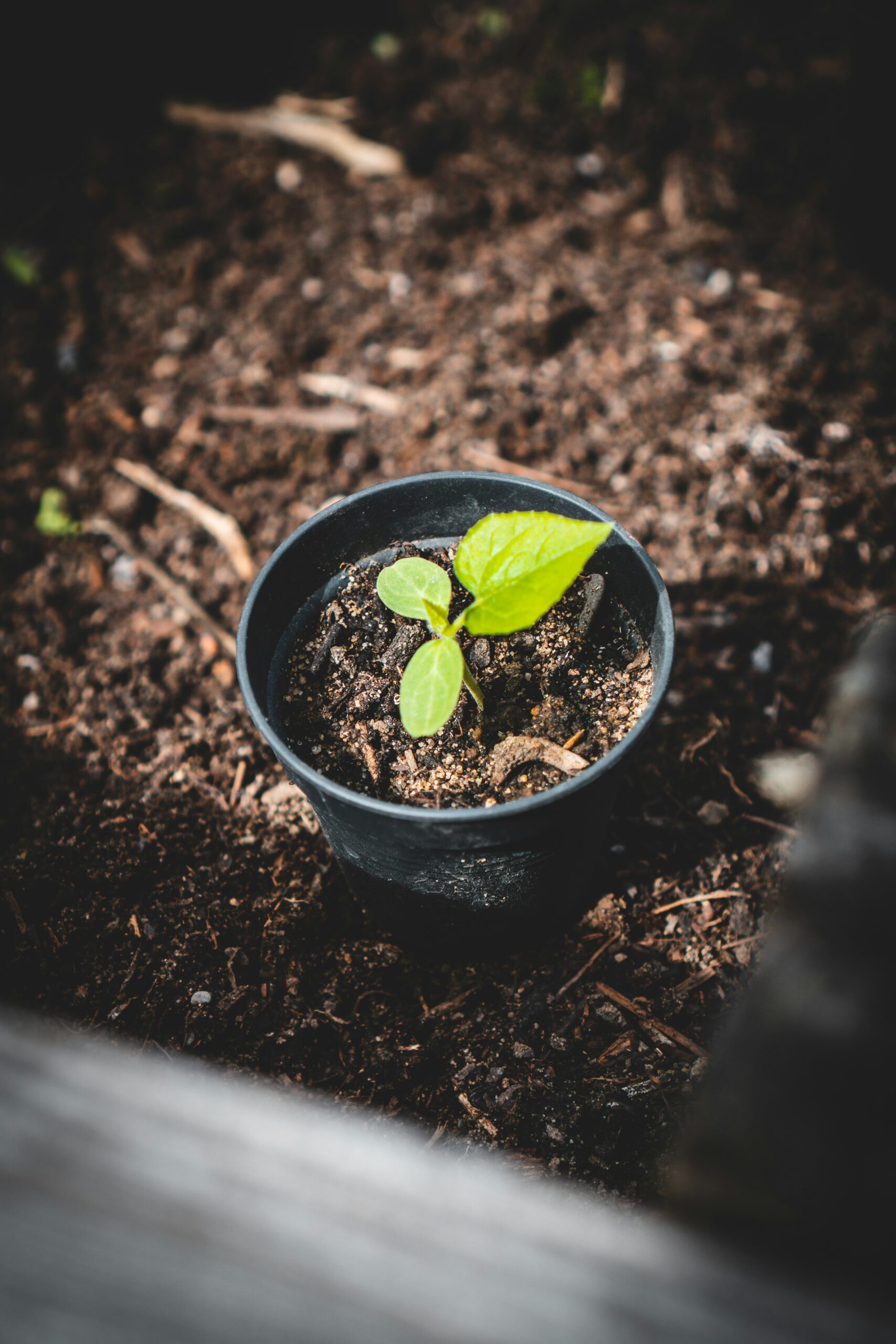 HTA: Autumn Budget Must Recognise The Businesses Behind Green Growth