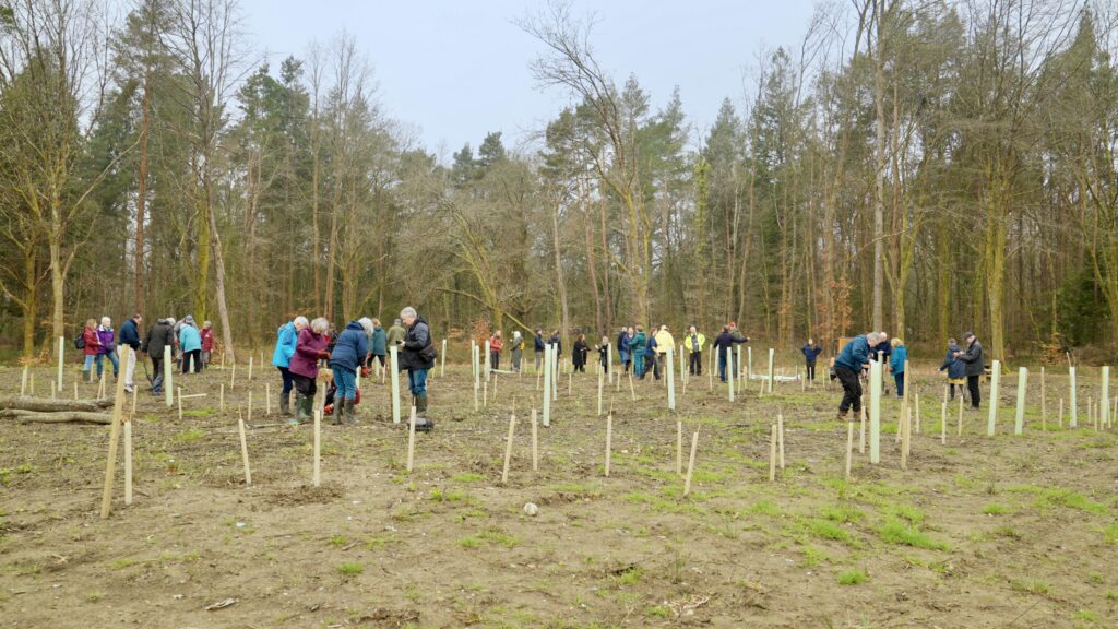 The Tree Council Reopens National Highways Community Trees Programme