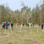 The Tree Council Reopens National Highways Community Trees Programme