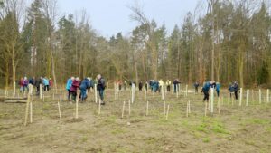 The Tree Council Reopens National Highways Community Trees Programme