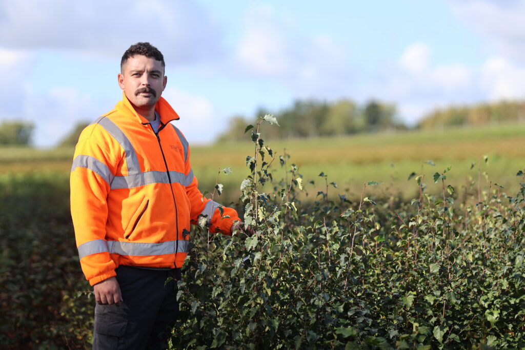 Wyevale Nurseries Launches ‘Awesome Autumn’ Campaign To Champion Autumn Planting