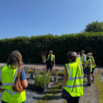 Join Creepers Nursery for their Autumn Open Day on the 29th of October